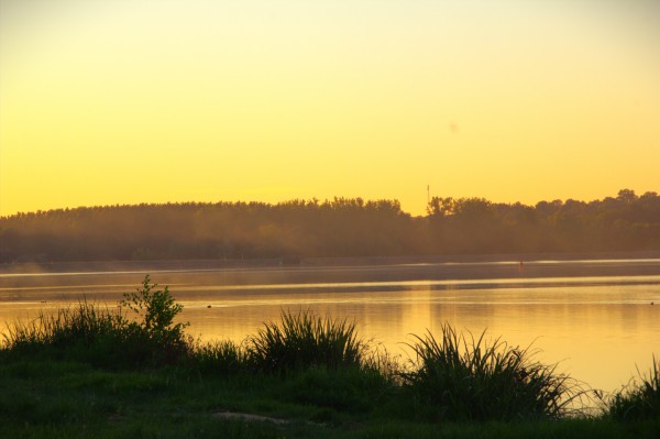 Éveil au bord de l'eau