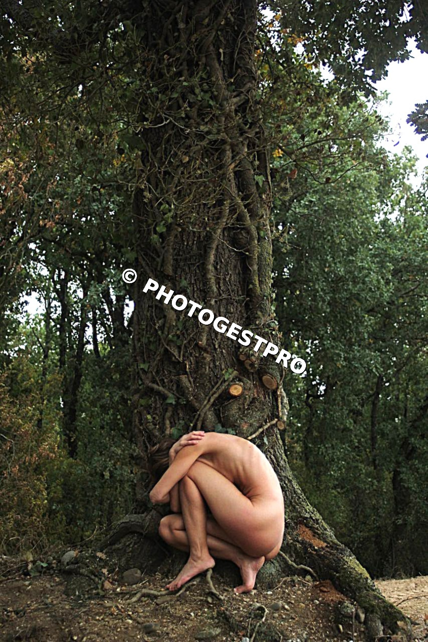 Symbiose Originelle
